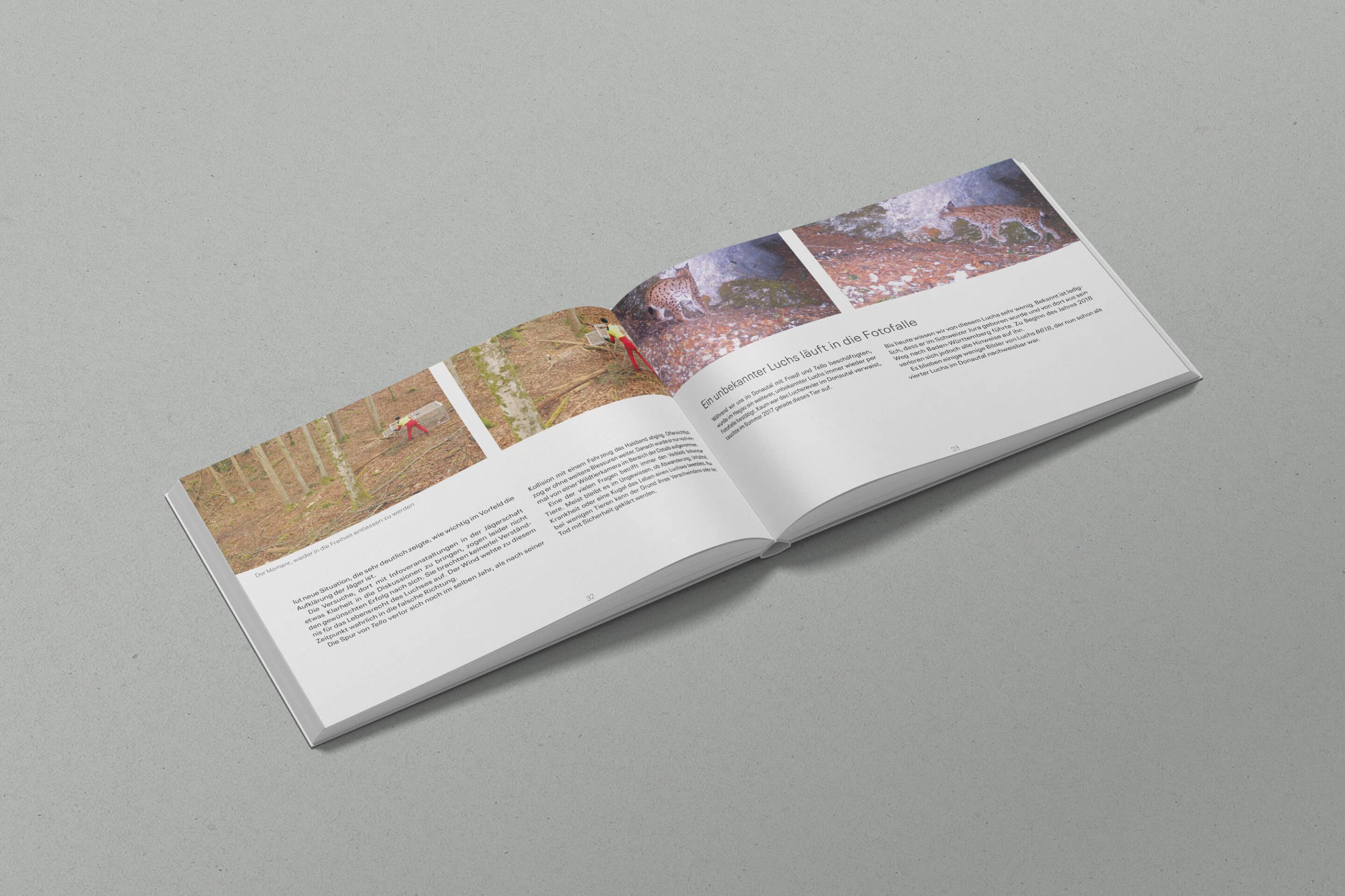 AbenteuerLuchs-Buchprojekt2