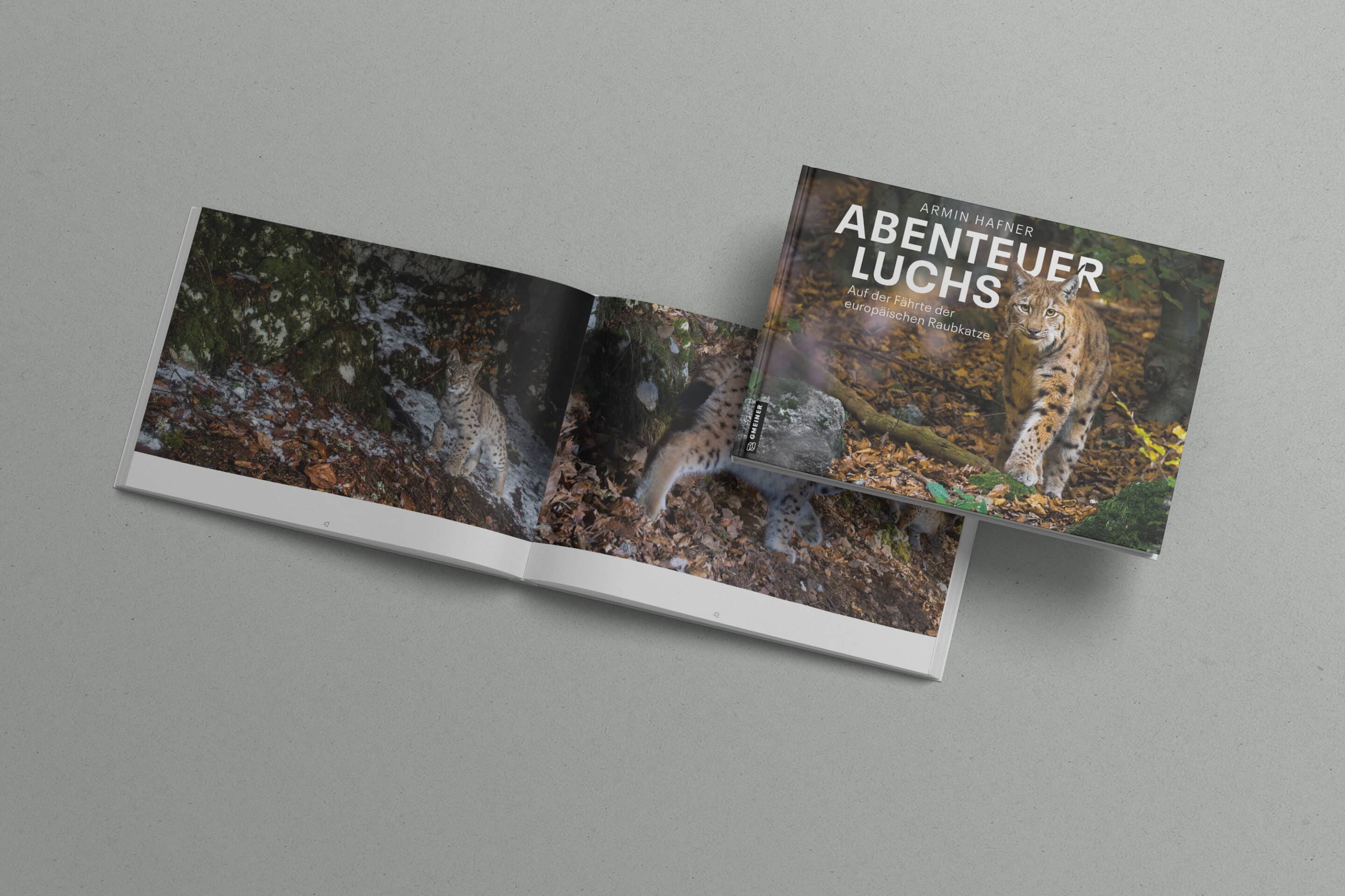 AbenteuerLuchs-Buchprojekt3