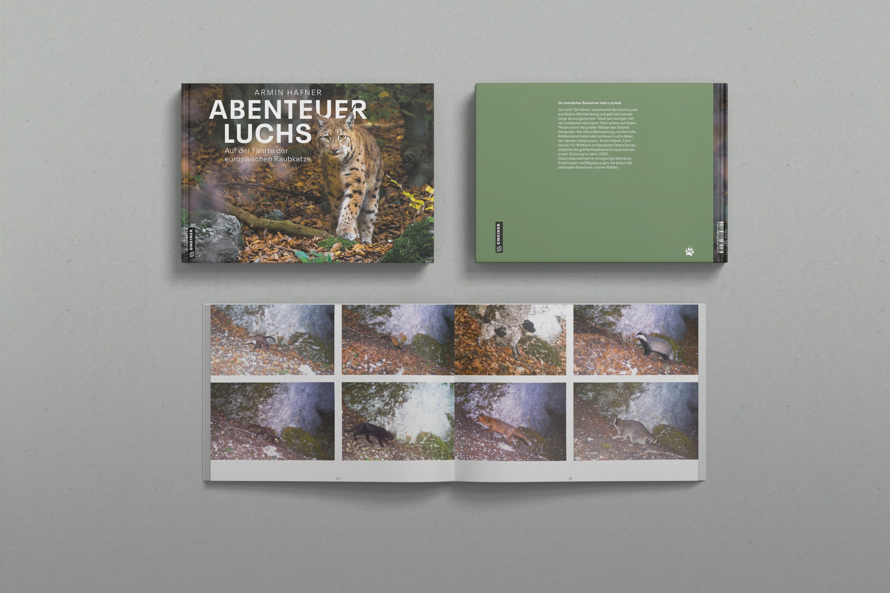AbenteuerLuchs-Buchprojekt4