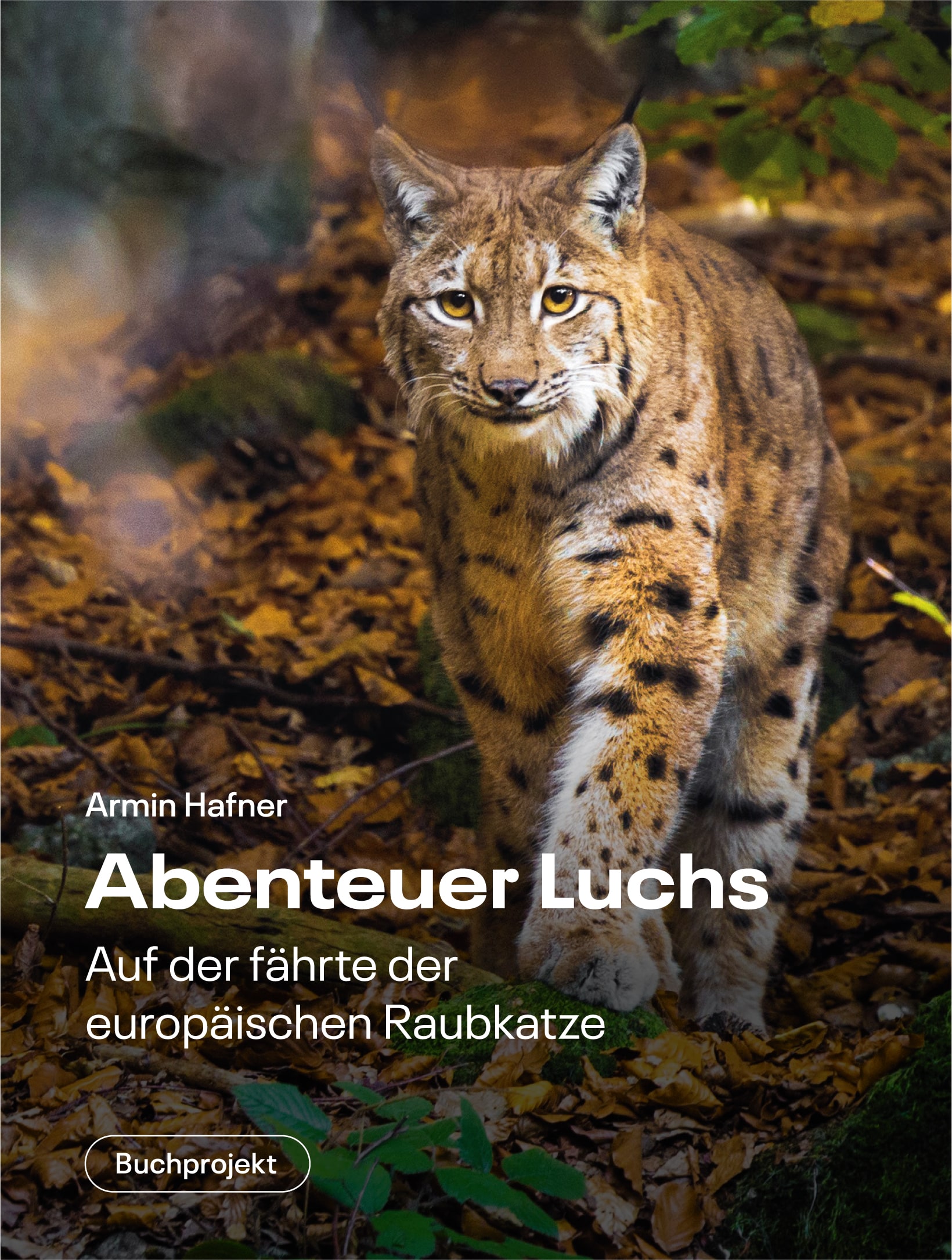AbenteuerLuchs Thumbnail
